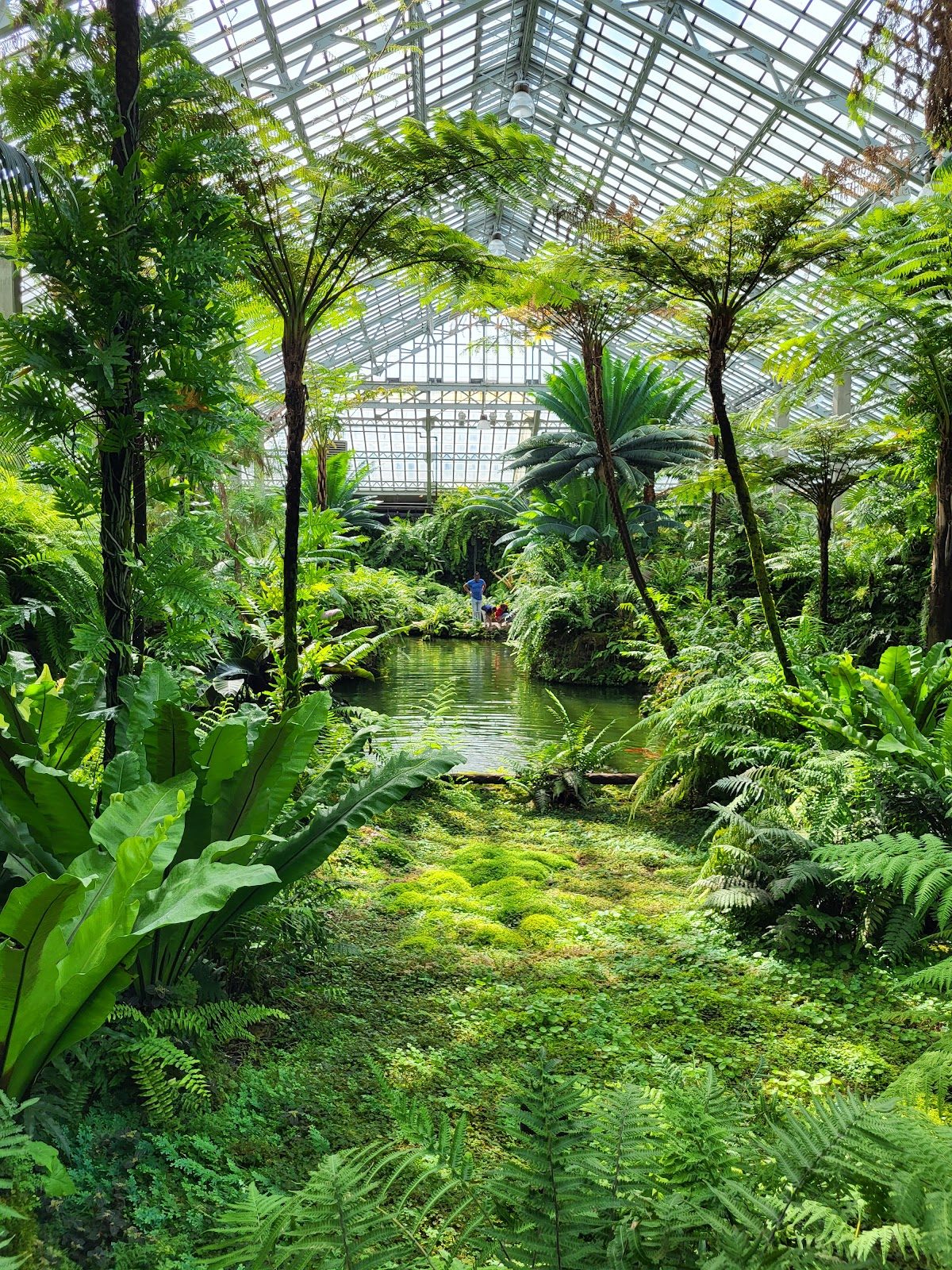 view of Garfield Park Conservatory