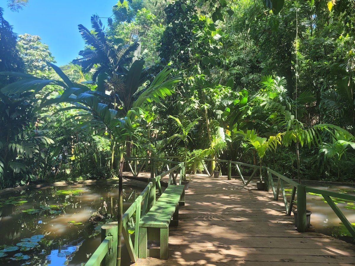 Garden of the Sleeping Giant Nadi, Fiji