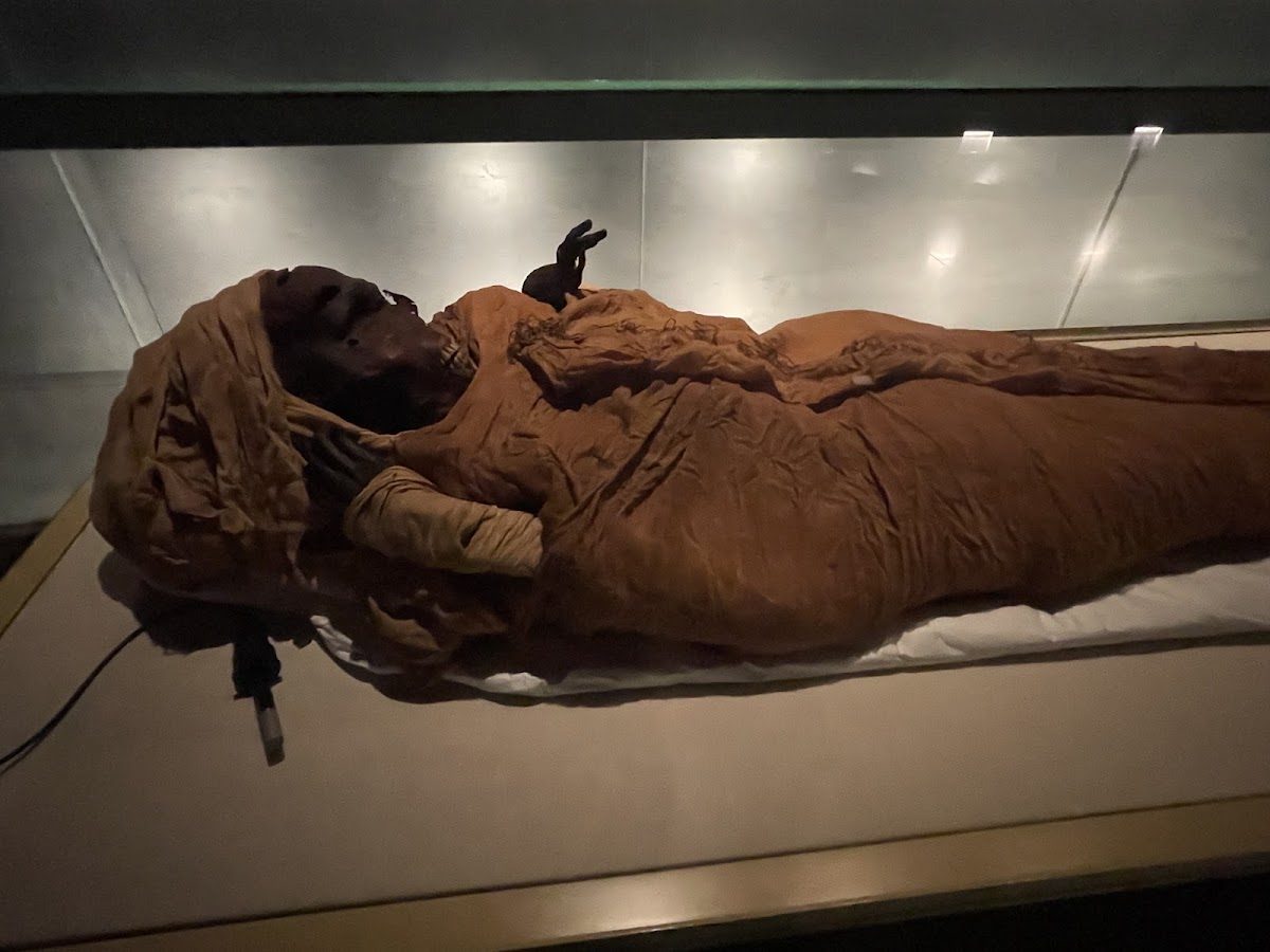National Museum of Egyptian Civilization Royal Mummies Gallery, Cairo
