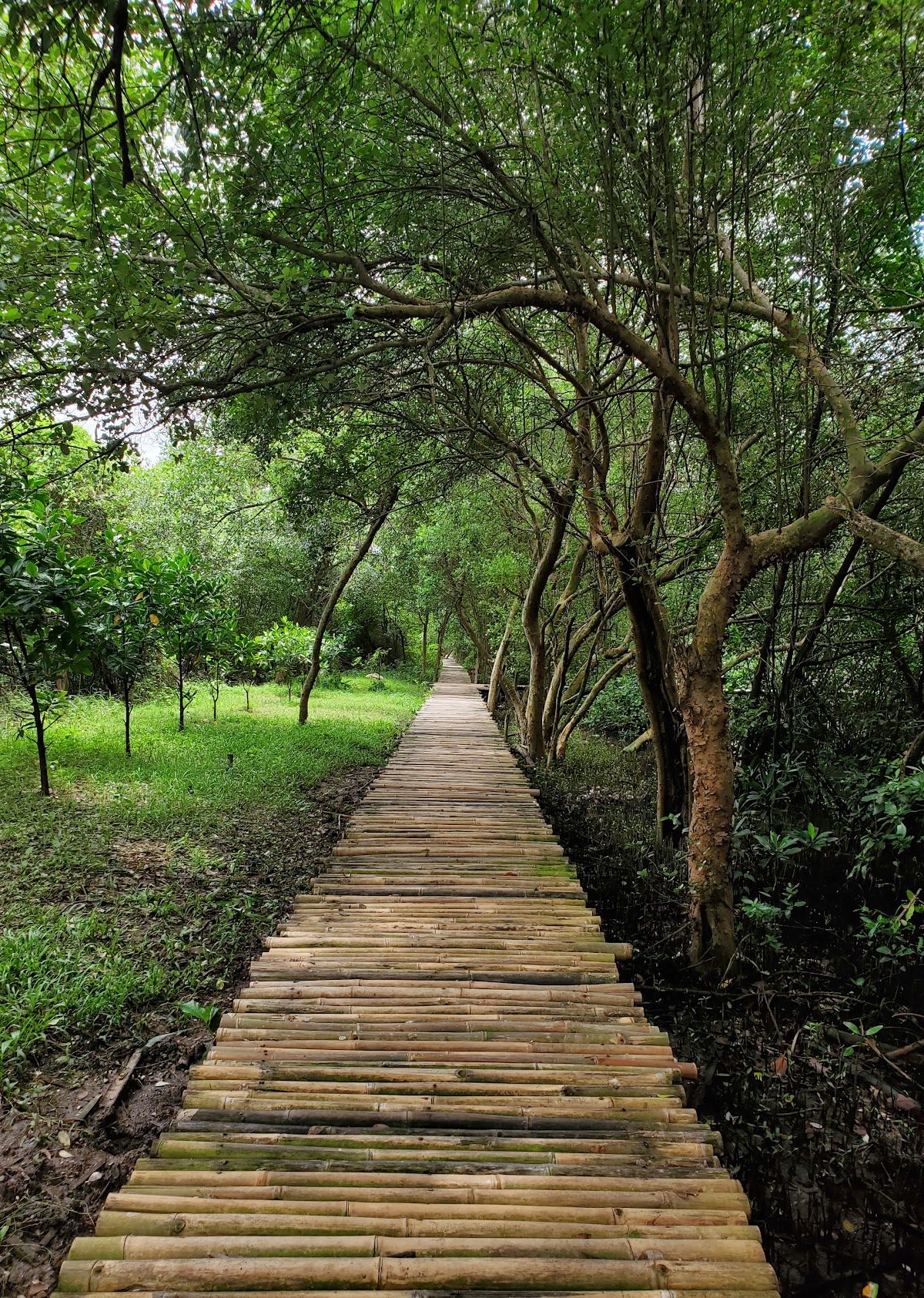 PIK Mangrove Ecotourism Park, Jakarta