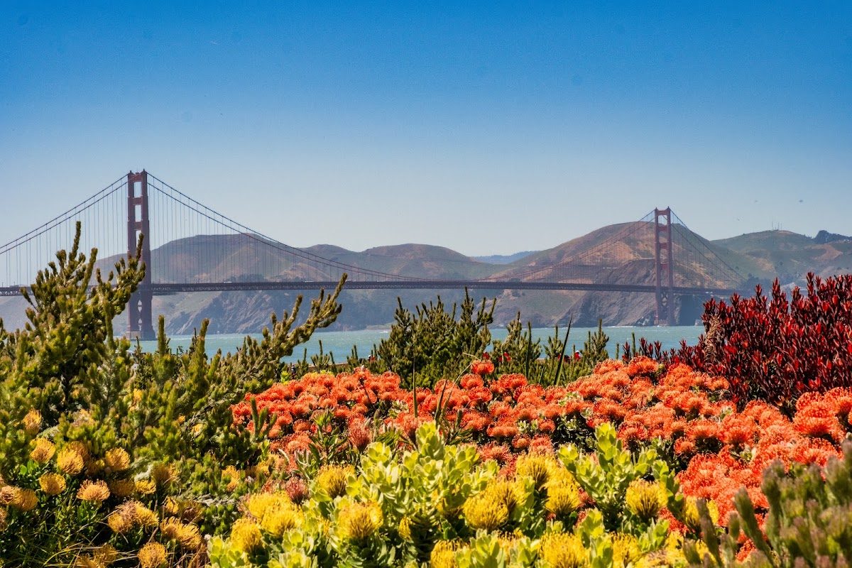 Presidio Tunnel Tops, San Francisco